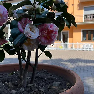 Ca Del Fili Holiday home